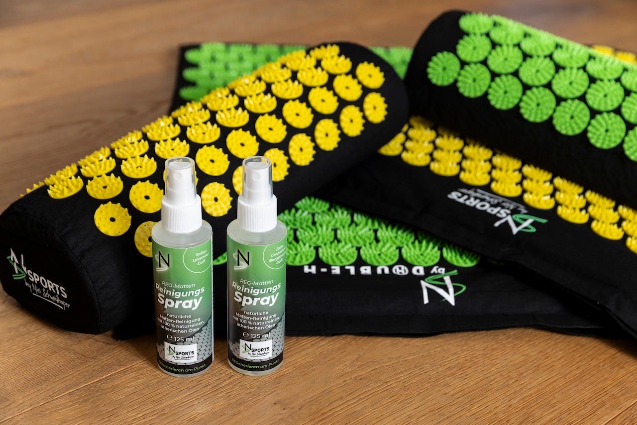 Reinigungsspray REG-Matte