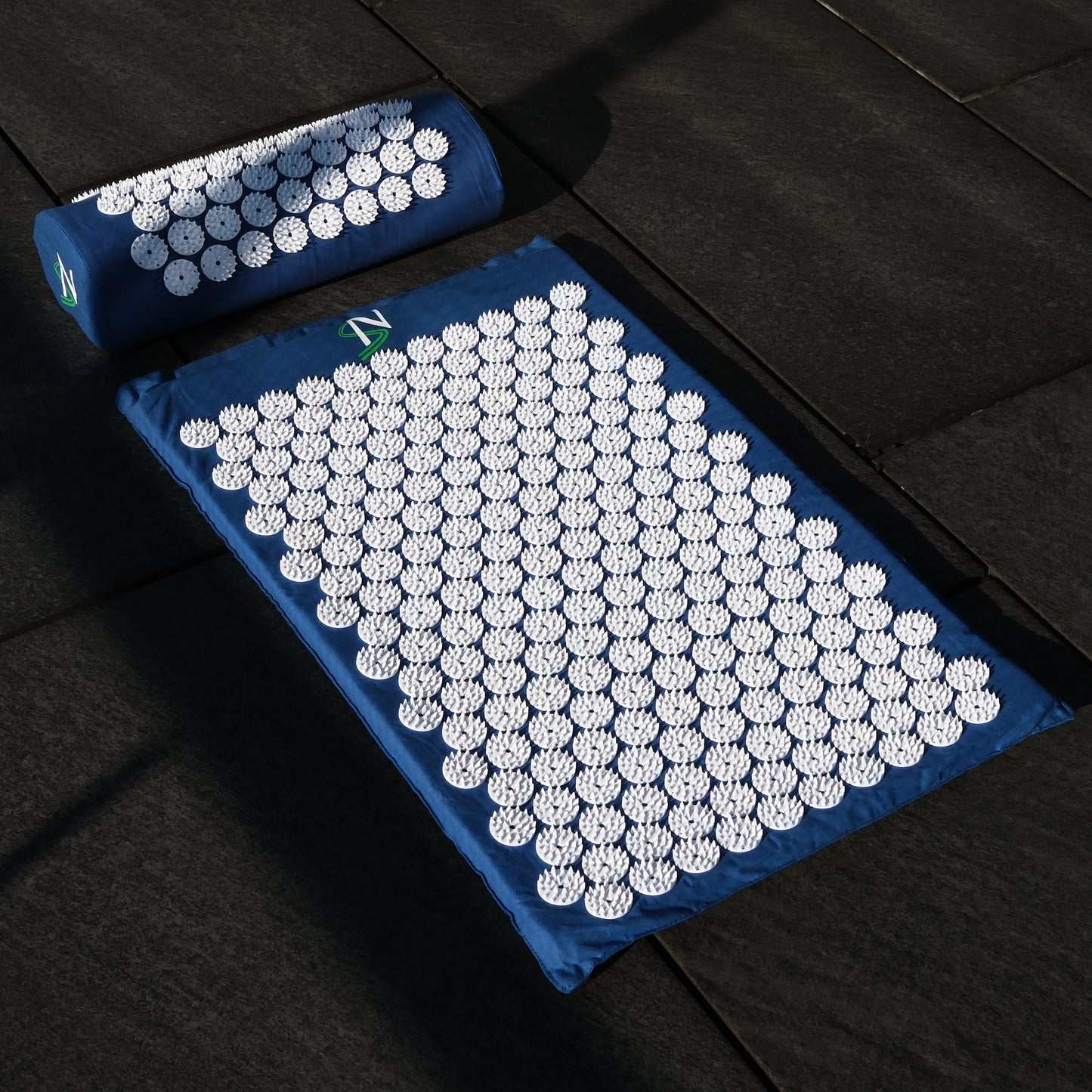 REG-Matte Starter Set Pro (blau)