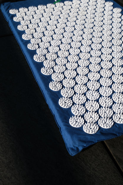 REG-Matte Starter Set Pro (blau)